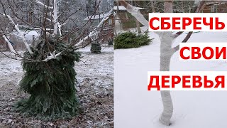 Варианты подзимнего укрытия плодовых деревьев. Плюсы и минусы