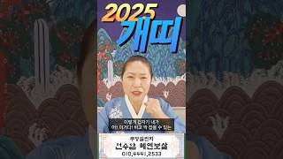 2025년 개띠 운세가 궁금하다면? #경주 #경주용한점집