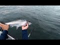 first salmon of 2024 kayaking fishing puget sound