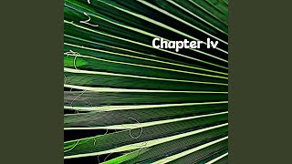 Chapter Iv