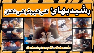 Kabooter Shop Rasheed bahi ki kabooter shop lal karbalai sohnchiray kabooter 92 vlog