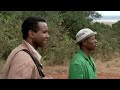 panorama ivory wars out of africa 12 apr 2012 bbc