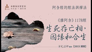 【雜阿含的經法與禪法】《雜阿含》1178經：生死存亡相，因緣和合生＿淨光法師開示