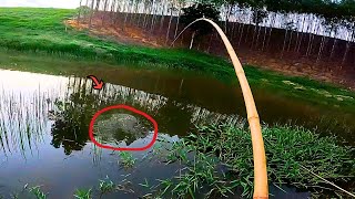 WHEN THIS ANIMAL INVADES THE STREAM DURING THE FLOOD IT DEVOURS EVERYTHING! Fishing for Traíra wi...