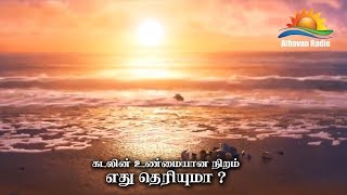 கடலின் உண்மையான நிறம் எது தெரியுமா ? | Palathum Paththum | Athavan Radio