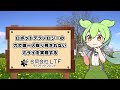 【農園ギャラリー】姫路スマート市民農園_12月の収穫