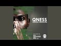 Qness - Fugama Unamate (Culoe De Song Serenity Mix)