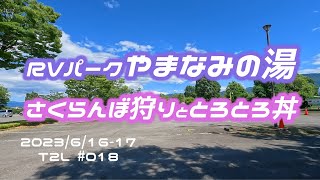 RVパークやまなみの湯_さくらんぼ狩りとトロトロ丼