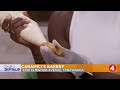 Daytime Buffalo: Caramici's Bakery for a sweet start to the week!