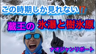 ここ時期しか見れない 蔵王の氷瀑と樹氷をナオジャンリポート　蔵王ライザスキー場の上部は素晴らしい樹氷原が広がってた♪ 仙人沢の氷瀑はことも凄かった‼︎