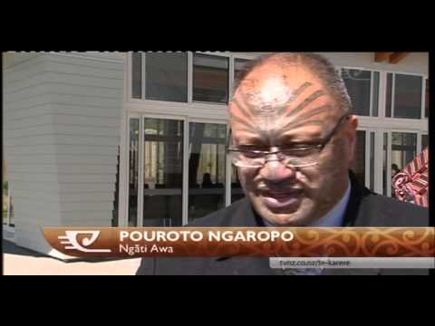 What is the Mataatua declaration?