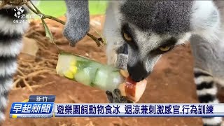 遊樂園餵動物吃冰 消暑兼刺激感官、行為訓練 | 每日新聞的部分 | 台語台新聞 | 20220807