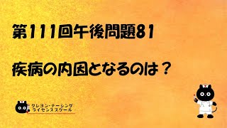 【看護師国家試験対策】【National Nursing Examination】第111回 午後問題81 過去問解説講座【クレヨン・ナーシングライセンススクール】