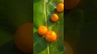 Orange khatta mitha #food #viralshort #youtubeshorts