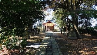 江津神社　トットリ街歩き