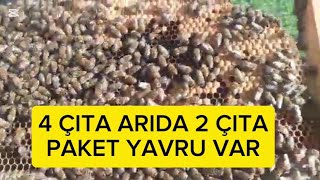 Kovanlarda 2025 sezonu başladı Adana #arıcılık