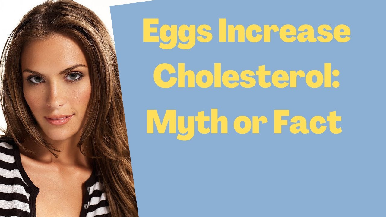 Eggs Increase Cholesterol Myth Or Fact Youtube