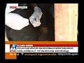 no evidece for walayar murder case manorama news