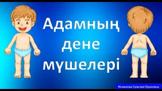 Адамның дене мүшелері 👄👂👁части тела на казахском языке сөйлеуді дамыту тіл дамыту қазақша мультфильм