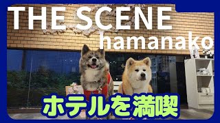 【ハイエースキャンピングカーで車中泊】番外編　THE SCENE hamanako 宿泊記録