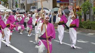 きむら連 阿波踊り飛舞枝 北浦和阿呆連／流し踊り（終点附近）／堀切かつしか菖蒲まつりパレード 2018