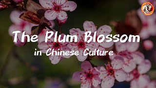 The Plum Blossom (梅花): A Symbol of Resilience and Beauty in Chinese Culture