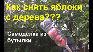 Как сделать ПЛОДОСБОРНИК для яблок из бутылки. Два варианта и недостатки конструкции.