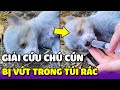 Cô gái Giải cứu Chó con bị Người chủ bỏ vào túi rác và vứt đi | Yêu Lu Official