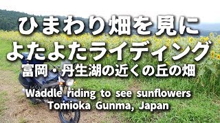 🏍🌻富岡市丹生湖ひまわり畑によたよたライディング [CAGIVA RIVER] 群馬