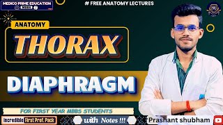 Anatomy of Thorax | Diaphragm | Thoracic Outlet | Openings of Diaphragm | NEET-PG