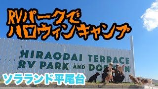 【あやなおキャンプ】平尾台テラスRVパークでハロウィンキャンプ【強風車中泊】