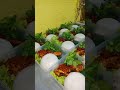 Ayam Bakar Urap Urap by Kenfood Surabaya