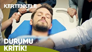 Murat vuruldu! - Kertenkele 78. Bölüm