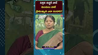 Agri || విత్తన శుద్ధికి వాడే మందులు వాటి ప్రాముఖ్యత ఎలా ఉండాలి? || T-SAT