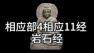 Samyutta Nikaya 4 Samyutta 11 The Rock Sutra, translated into Chinese. (147)