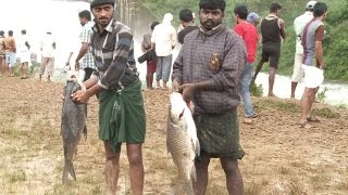 Fish Hunt As Dam Gates Open | Wayanad Banasura Sagar Dam Fishing | ഡാം ഒന്ന് തുറന്നതേ ഓര്‍മയുള്ളൂ...