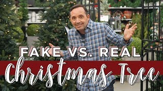 Should I Buy Fake or Real Christmas Tree?