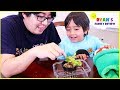 Feeding our new Pet Venus Fly Trap Plant!