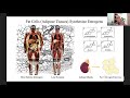 Dr. John McDougall - Estrogen Food and Women