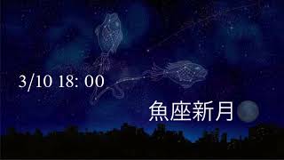 2024年3月10日 魚座新月 -大切なのは◯◯だった-