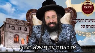 האדמו\