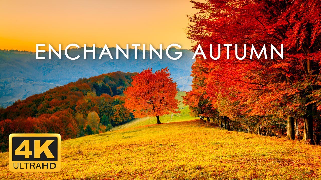 11 Hrs Incredible Fall Foliage Best 4k Autumn Nature Scenes From