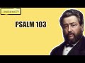 PSALM 103 || Charles Spurgeon - Volume 48: 1902