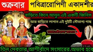 শুক্রবার পবিত্রারোপিণী একাদশীর দিন বাড়িতে আনুন এই জিনিস আর লাগান এই গাছ.100%সৌভাগ্য আসবে ..