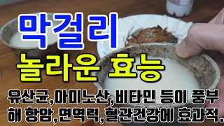 [막걸리 효능] 전통 발효주가 주는 놀라운 이점, 자연 발효의 힘, 건강을 위한 선택