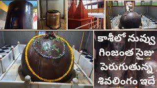 కాశీలో తిలబాండేశ్వర మహాదేవ్ మందిరం | Shri Tilbhandeshwar Mahadev Temple in Kashi | #tilbhandeshwar