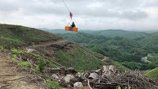 苗木の空中運搬_上げ荷方向_30秒短縮版