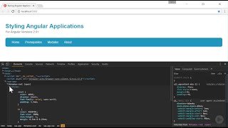 Styling Angular Applications