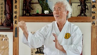 Too dangerous! Okinawa Karate Master's Amazing skills!