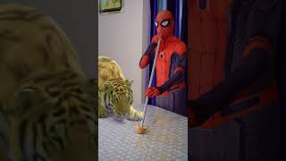 It was unexpected 😂 Spider-Man funny tiktok video #shorts
